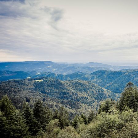 Herrlicher Ausblick in die Landschaft und auf die Wälder des Schwarzwaldes.