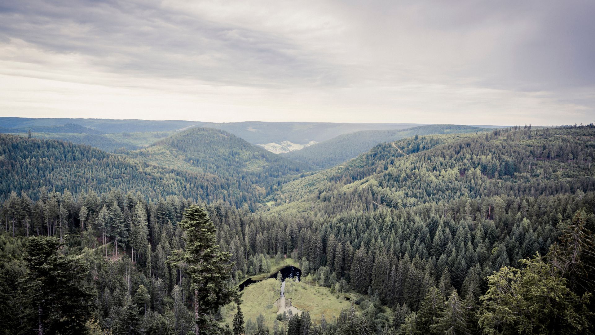 Herrlicher Panoramablick von der Aussichtsplattform Ellbachseeblick auf den See und die umliegende Schwarzwaldlandschaft.