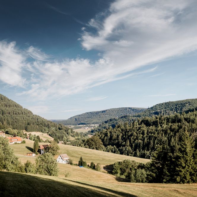 Ein weites grünes Tal mit einzelnen Bauernhöfen und Wiesen, eingerahmt von bewaldeten Hügeln, darüber blauer Himmel mit zarten Schleierwolken