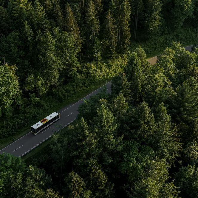 Der NationalparkBus im goldenen Licht zwischen Tannen und Hügeln – Bus und Bahn im Schwarzwald-Urlaub kostenlos nutzen.