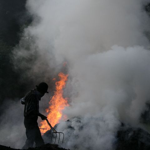 Im Feuer des brennenden Kohlenmeilers in Baiersbronn verwandelt der Köhler nach uraltem Wissen Holz in Kohle.