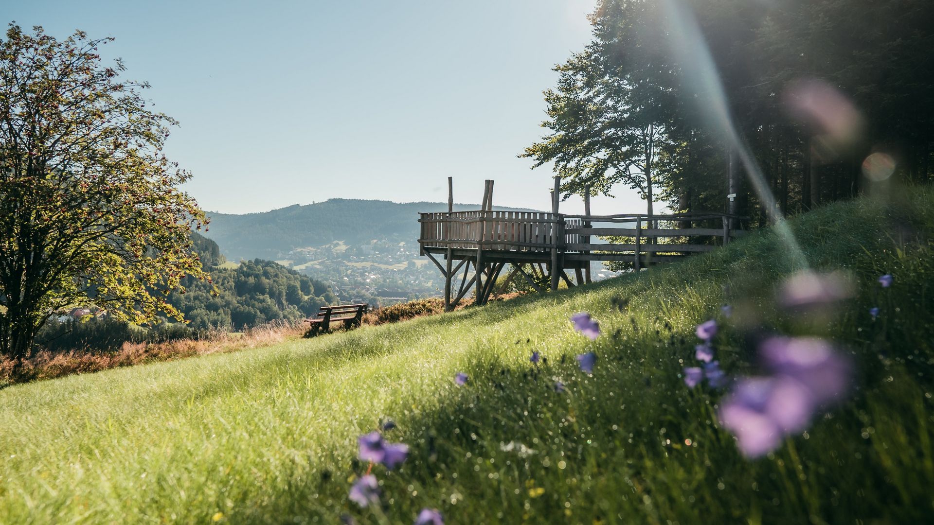 Von der Aussichts-Plattform Allmandblick in Baiersbronn hat man einen schönen Blick nach Mitteltal.