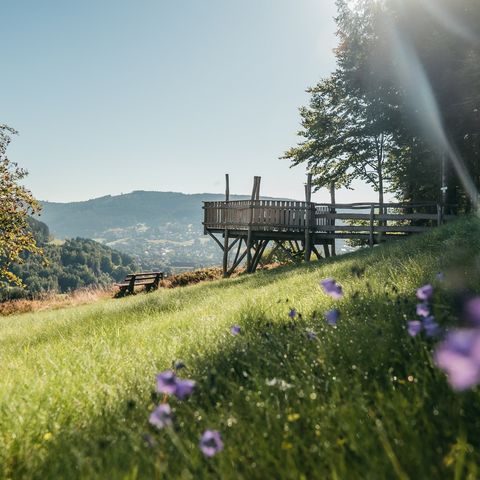 Von der Aussichts-Plattform Allmandblick in Baiersbronn hat man einen schönen Blick nach Mitteltal.