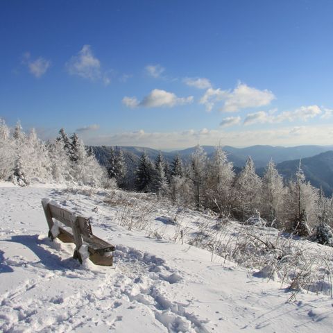 Bank mit herrlicher Aussicht über die tiefverschneite Winterlandschaft des Schwarzwaldes entlang der Schwarzwaldhochstraße.