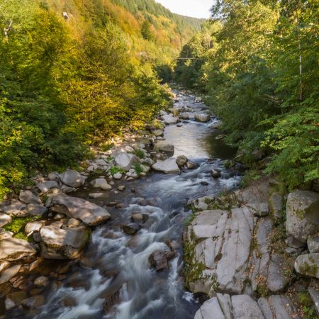 Bachlauf der Murg inmitten grüner Natur.