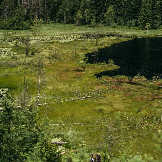 Huzenbacher See