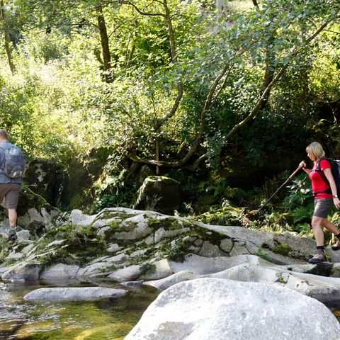 Wanderer genießen die Erfrischung bei einer Flussbettwanderung entlang der Murg.