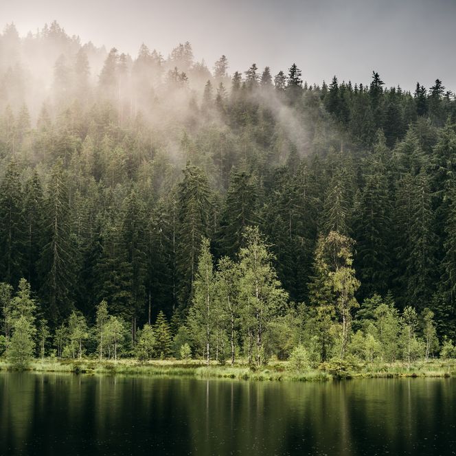 Buhlbachsee