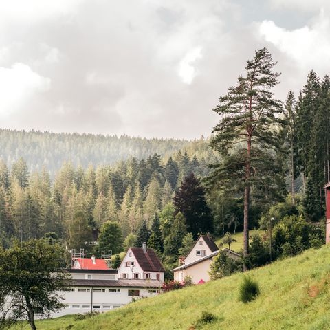 Panorama Ortsansicht Baiersbronn-Friedrichstal mit Michaelskirche. 