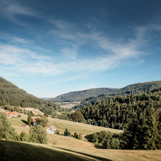 Panorama eines grünen Tals mit Bauernhöfen und Wiesen zwischen bewaldeten Bergrücken unter weitem Himmel mit Schleierwolken