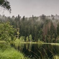 Blick auf den idyllisch gelegenen Buhlbachsee im Nationalpark Schwarzwald.