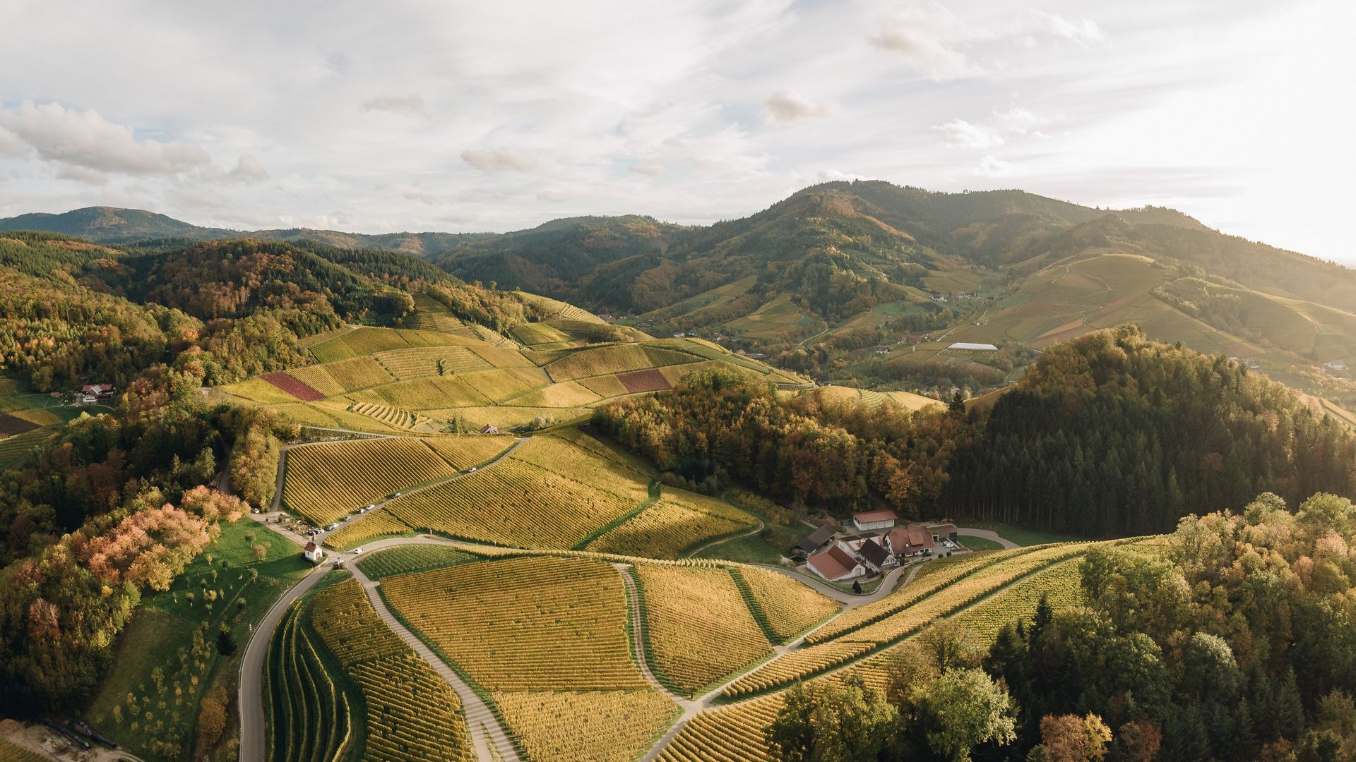 Blick auf die schöne hügelige Landschaft im Nationalpark Schwarzwald.