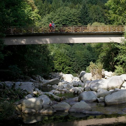 Wanderer stehen auf einer Brücke im Murgtal mit Blick auf den Bachlauf. 