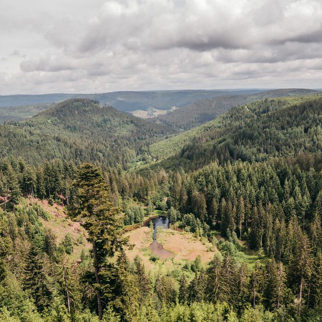 Ellbachseeblick Mitteltal