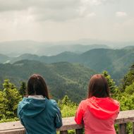 Wanderer genießen am Schliffkopf die traumhafte Aussicht über die hügelige Landschaft im Nationalpark Schwarzwald.