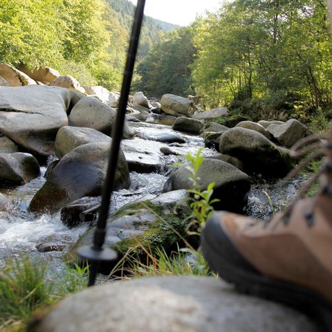 Wanderschuh auf einem Steinfels am Bachlauf im Tal der Murg.