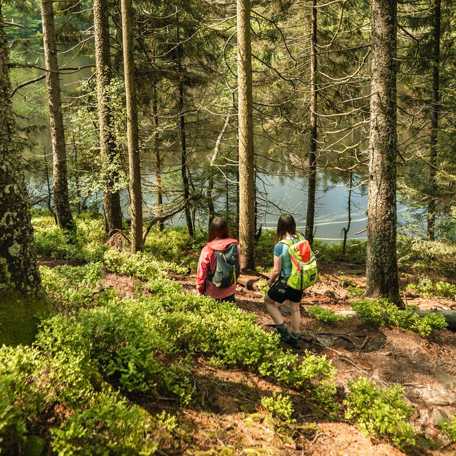 Wanderung zum Wildsee