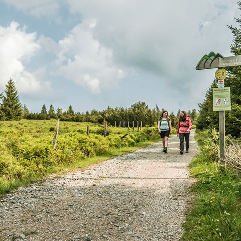 Am Ruhestein im Nationalpark Schwarzwald gibt es zahlreiche Rund- und Wanderwege in der schönen Natur.