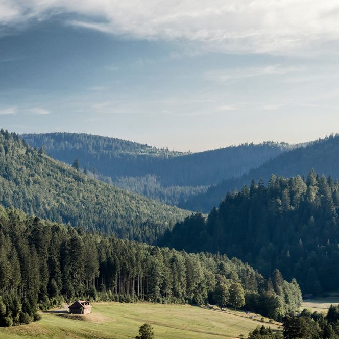 Bewaldete Bergrücken staffeln sich im Dunst, im Vordergrund eine Wiese mit einzelner Scheune, rechts liegt ein kleiner Ort im Tal
