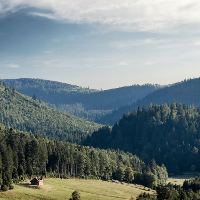 Bewaldete Bergrücken staffeln sich im Dunst, im Vordergrund eine Wiese mit einzelner Scheune, rechts liegt ein kleiner Ort im Tal