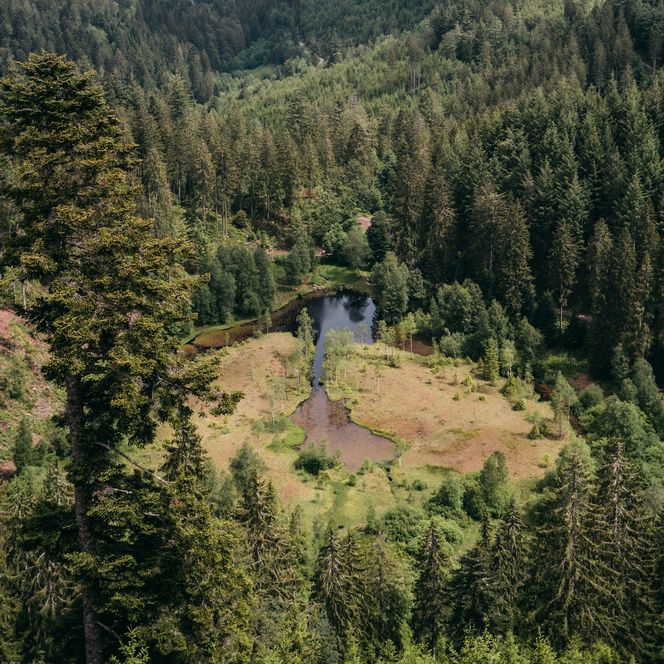 Ellbachseeblick Mitteltal