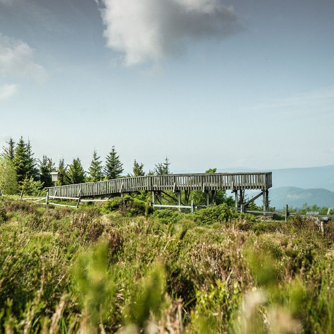 Aussichtsplattform Steinmäuerle Schliffkopf