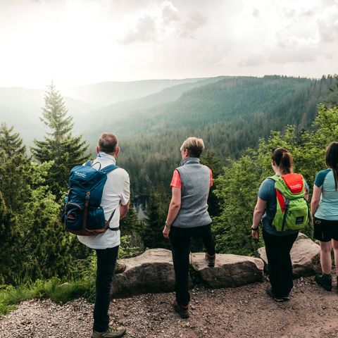 Wanderer genießen den herrlichen Ausblick auf den Wildsee im Nationalpark Schwarzwald.