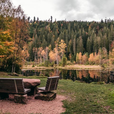 Picknickplatz in herbstlicher Stimmung am Ellbachsee in Baiersbronn-Mitteltal.