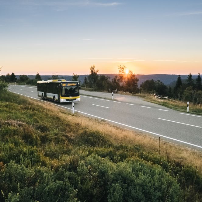 Ein Bus fährt im Abendlicht über eine Landstraße durch die Höhen des Schwarzwaldes – kostenlos mit der KONUS-Gästekarte.