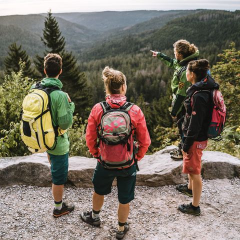 Eine Wandergruppe am Aussichtspunkt blickt über die dichten Wälder im Nationalpark Schwarzwald.