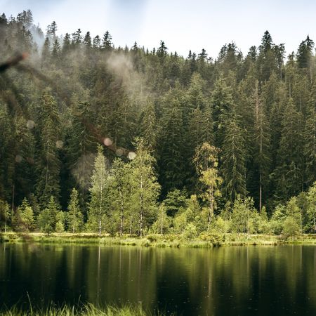 Der Buhlbachsee in Baiersbronn ist ein Karsee. Eine Besonderheit ist die schwimmende Moorinsel inmitten des Sees.