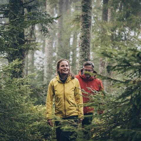Ein Paar wandert durch den dichten Wald im Nationalpark Schwarzwald.