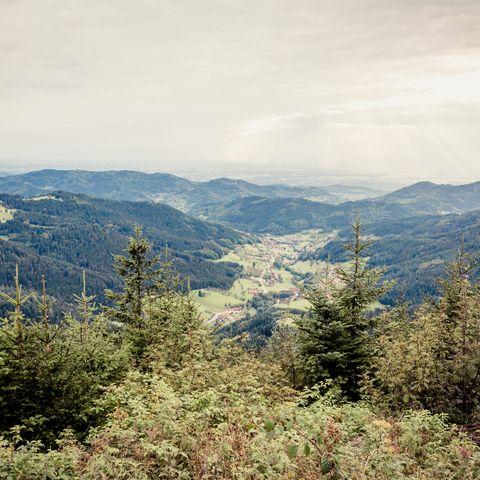 Weitläufiger Blick aus der Höhe auf die schöne Landschaft und ins Tal.