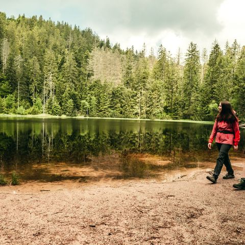 Im Nationalpark Schwarzwald haben Wanderer das Ufer des idyllisch gelegenen Wildsees auf der Gemarkung Baiersbronn erreicht. Der fast runde Wildsee ist einer von 5 Karseen.