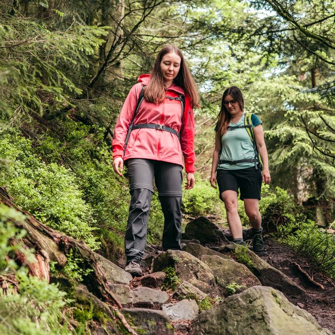 Wanderung zum Wildsee