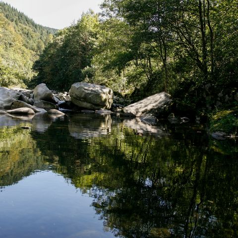 Wasserspiegelung auf dem idyllischen Bachlauf der Murg.