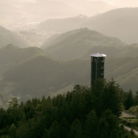 Vom Aussichtsturm hat man einen herrlichen Blick über den Nationalpark Schwarzwald.