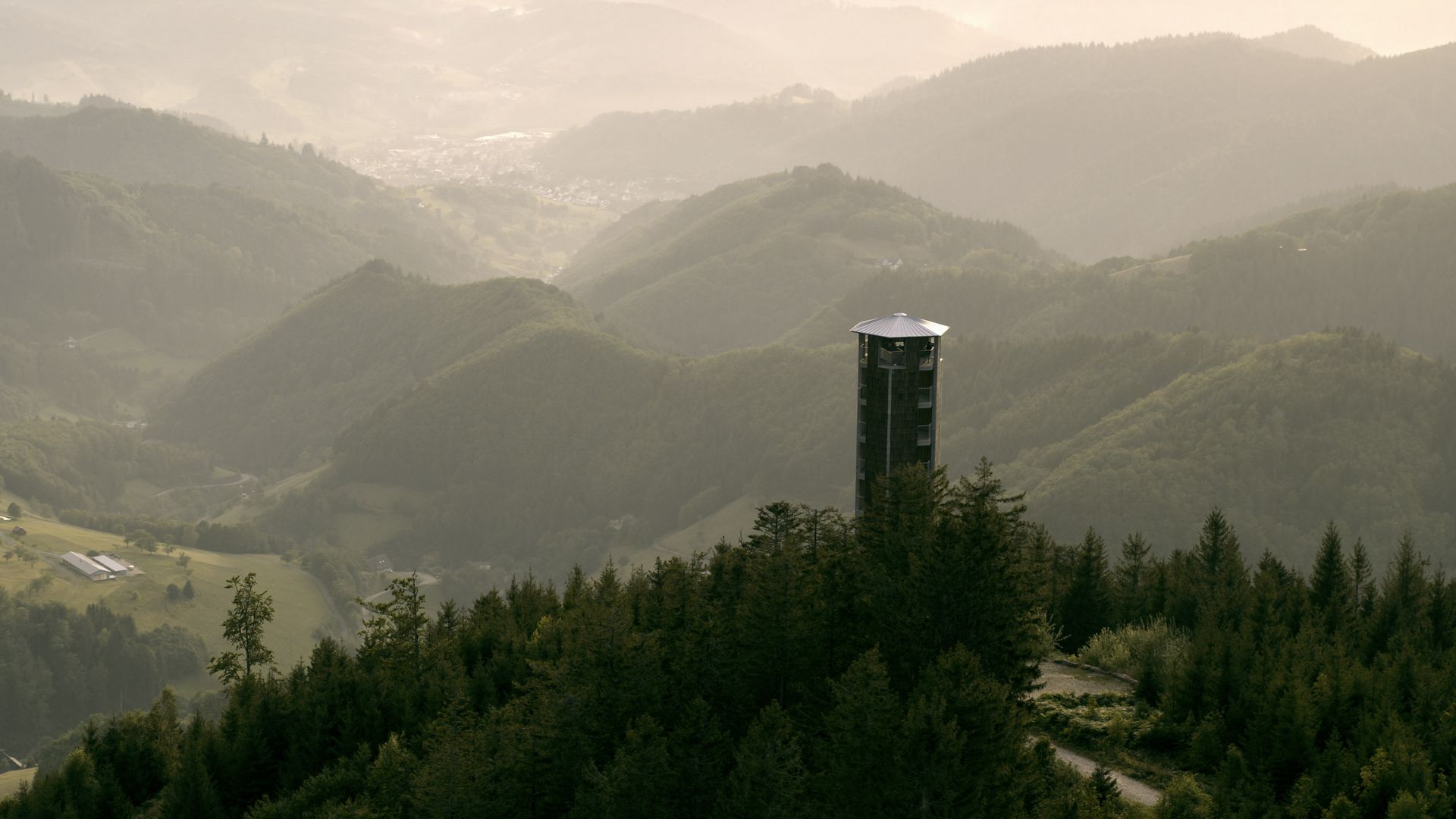 Vom Aussichtsturm hat man einen herrlichen Blick über den Nationalpark Schwarzwald.