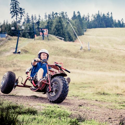 Mit viel Geschwingkeit geht's mit dem Mountain Cart am Mehliskopf in die Kurve und den Berg hinunter - für den Fahrer ein rasantes Fahrvergnügen.