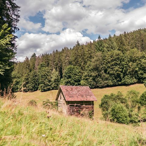 Urige Hütte im idyllisch gelegenen Reichenbachtal in Baiersbronn.