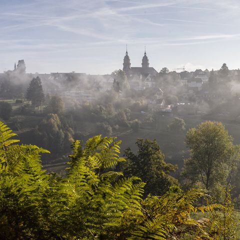Stadtansicht von Freudenstadt im Sommer mit Nebel und Blick auf das Christophstal.