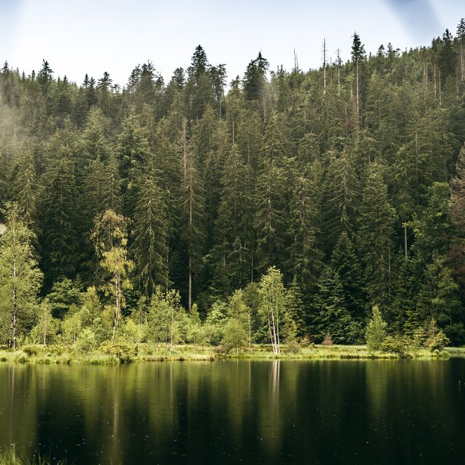 Buhlbachsee